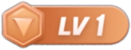 LV1 等级-LV1-new york 6 _ Ny6